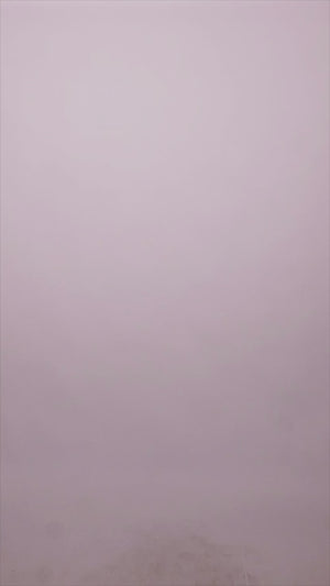 Ayla Hand Beaded Split-Neck Dress