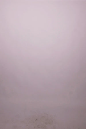 Sway Cotton Palazzo Pants in Black