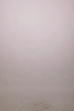 Sway Cotton Palazzo Pants in Butter Yellow